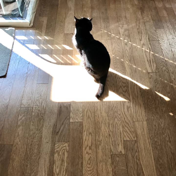 56af74d7 02b9 41c3 995c 0a29ffd5dc07