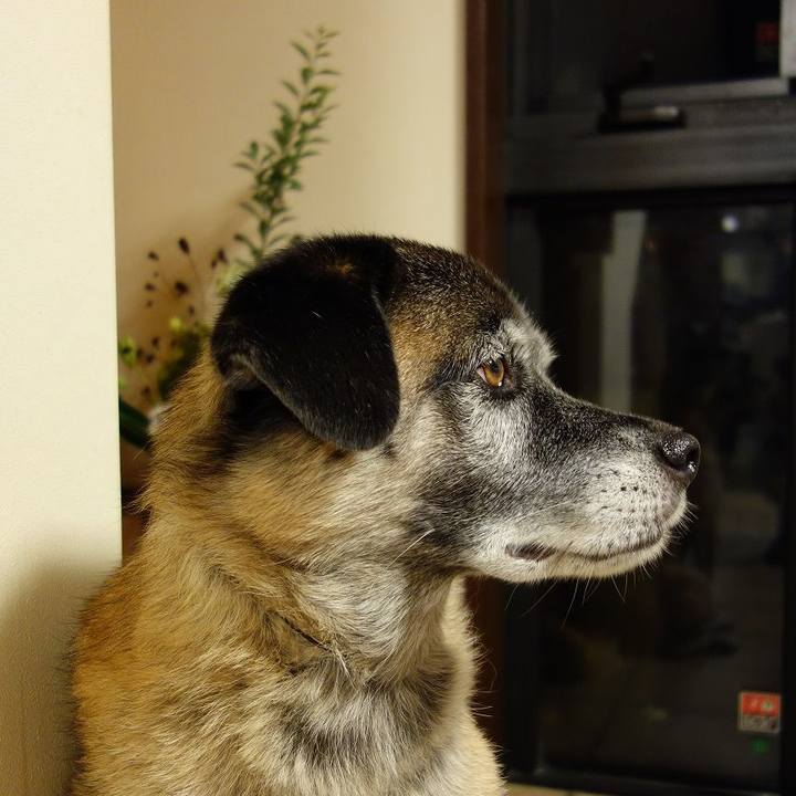 56af86a4 cdba 45a9 bd7a d1d338680734