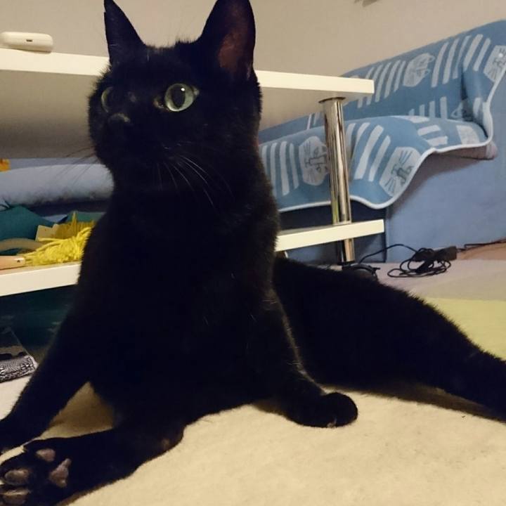 56afb453 c467 4e19 a306 fabaf3073e54