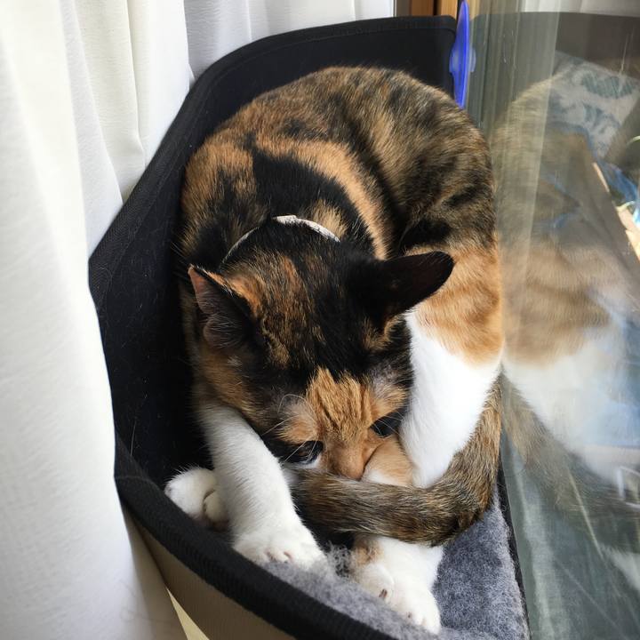 56aff5db e837 4311 b1cc 57832a65d159