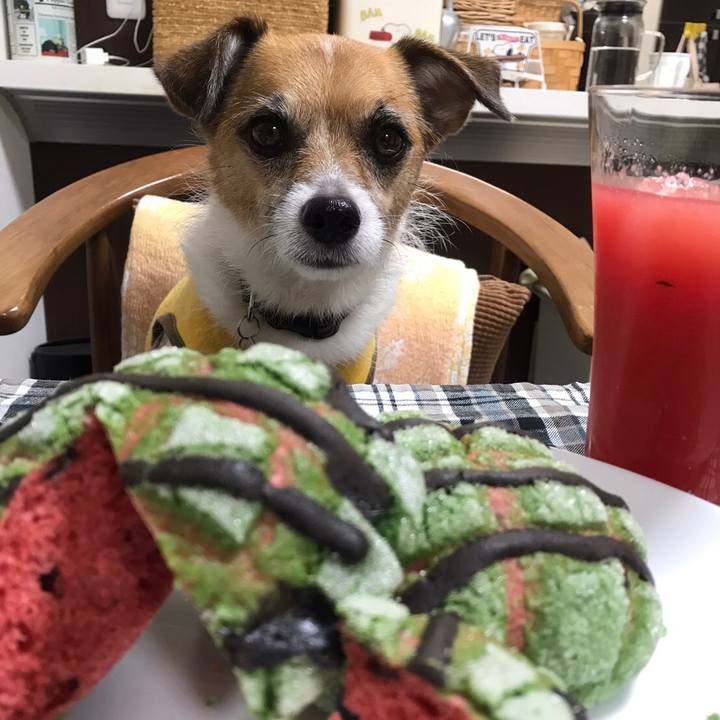 56b0c022 77c2 4c9b ac17 76c20549e0df