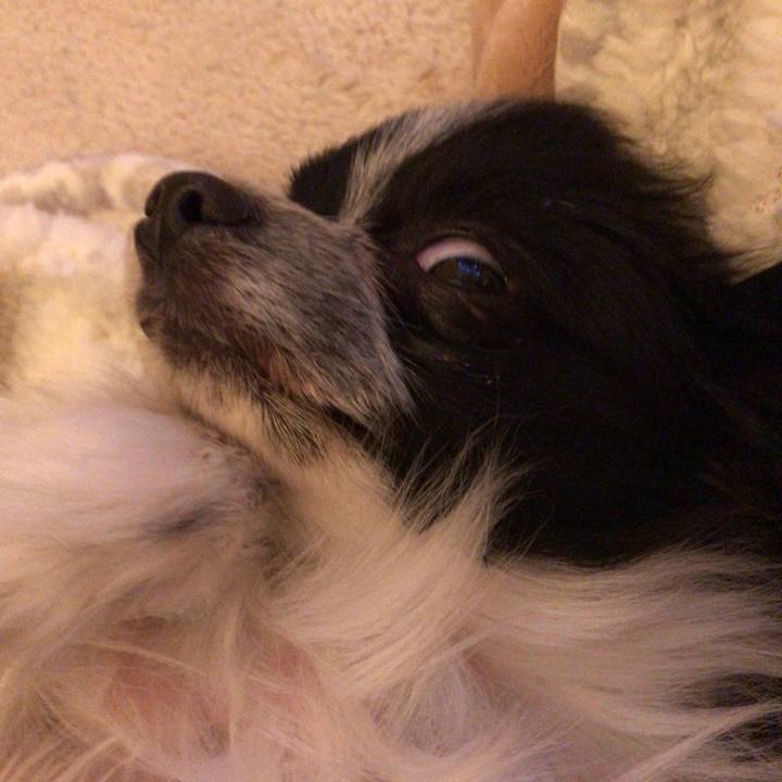 56b0e99f e0f3 415c a528 e7c3a710e7e0