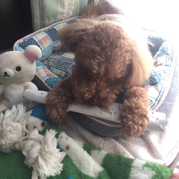 56b10cc2 4767 4507 9ec6 aa97828d9c49