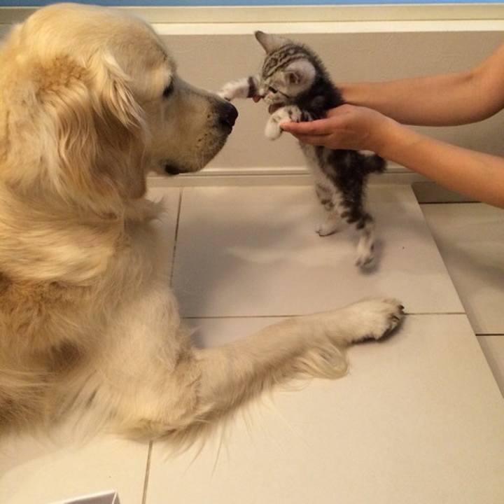 56b1e4db 1748 4017 92a8 b0d19705e73b