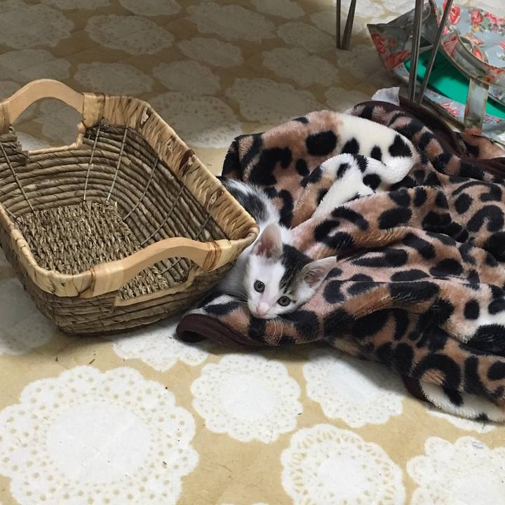 56b24c87 15d5 455b a694 4fd1ccbf9178