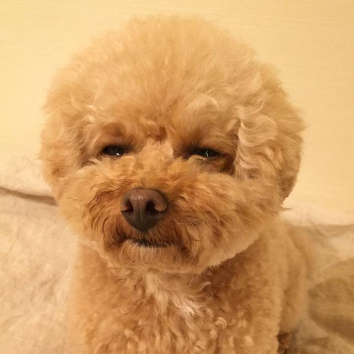 56b2c80d 962b 4f28 bc80 3f416a559055