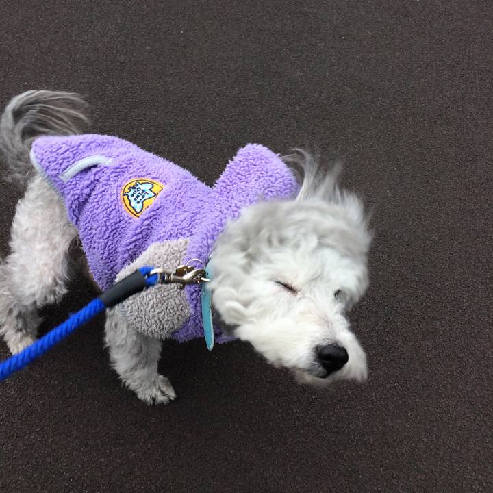 56b31d48 028a 42b1 8034 09d9d5f076aa