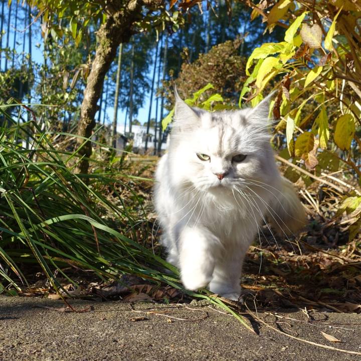 56b3aad5 190f 4cd0 a442 406662bb67cc