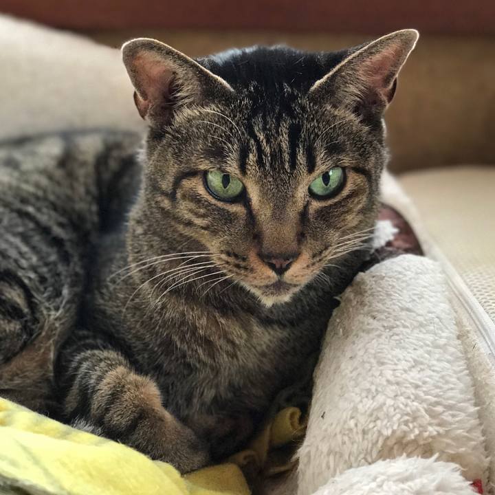 56b3da52 bc24 47bb a807 9b75282910eb