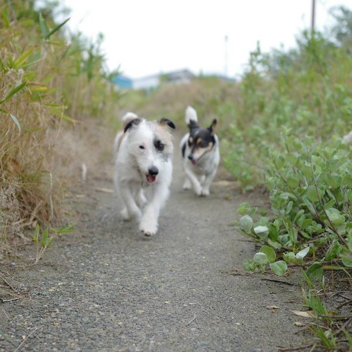 56b47c78 0cb3 4306 a86a 964f23ba1058