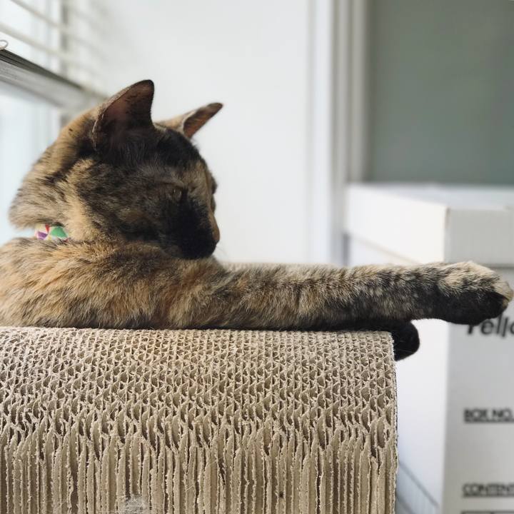 56b4875b 2f24 41c8 81ee 70f7480fd887