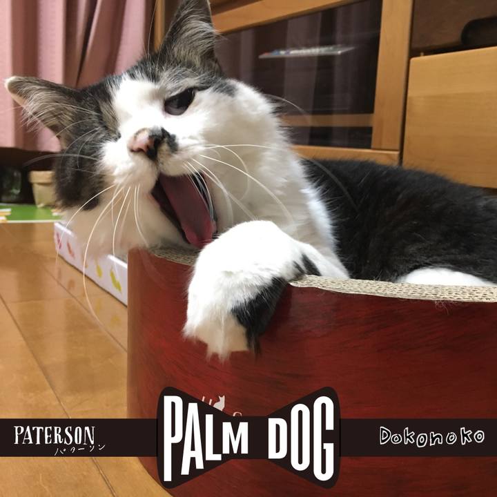 56b4e3b8 9a61 408b b2e5 c9d3e5c580ac