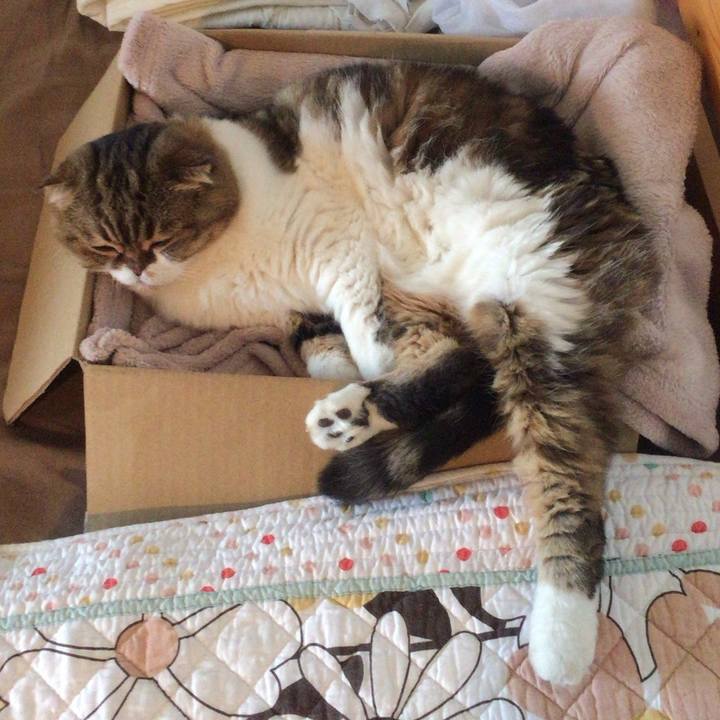 56b50cd4 b40e 4281 a44e 4586f33923a4