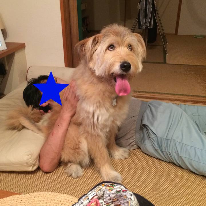 56b52ff9 5305 422b a8c5 811327f41178