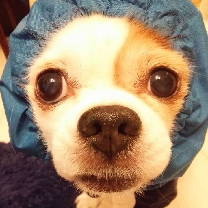 56b56570 6727 4586 b8ff 64d8af05a9ca