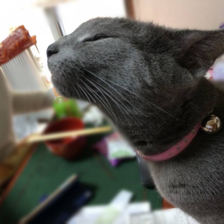 56b577e0 b830 44a5 b70f 0cc7d59473f5