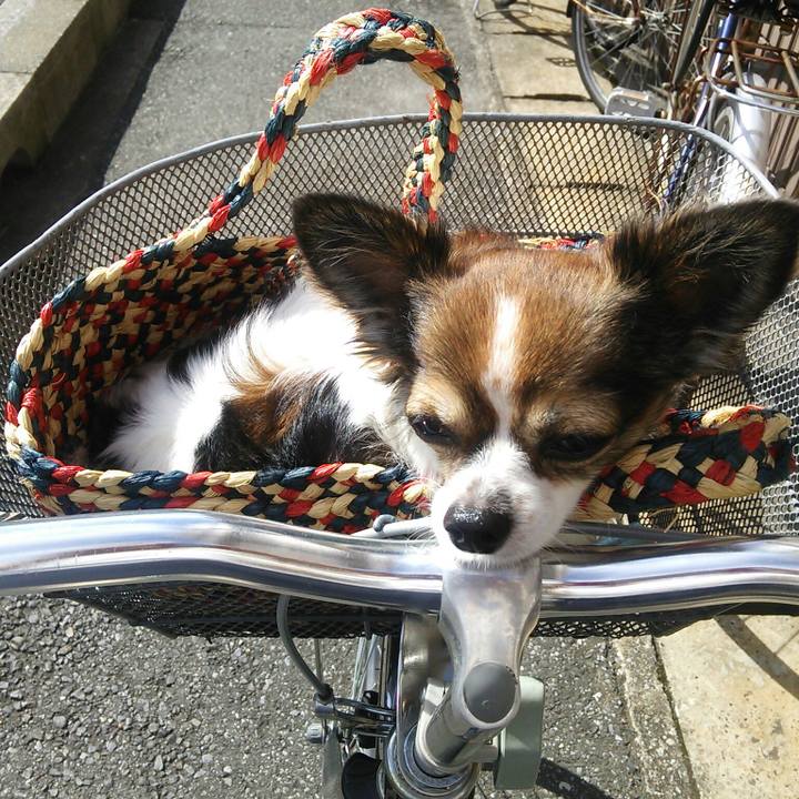 56b5cd33 250a 4d2e 8e23 72bfd7b32b73