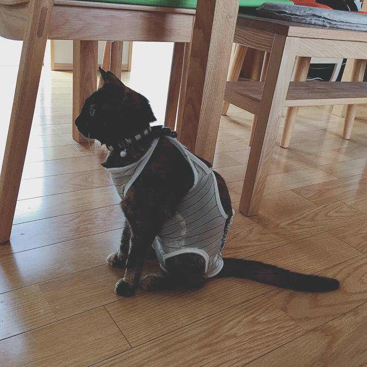 56b6bd88 606b 4d73 a5fc c8fa366b7e6c