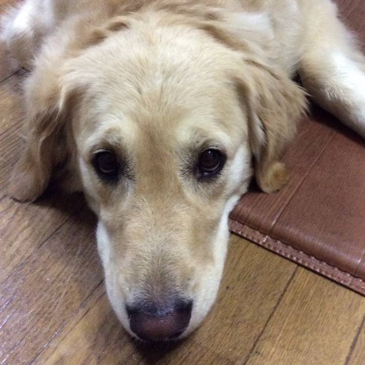 56b6f5f2 d253 4116 ad9d 17468fcb4aea