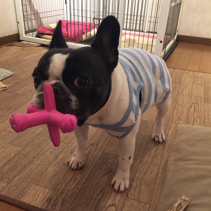 56b791fb 8666 48cd ac69 cc73f8832836