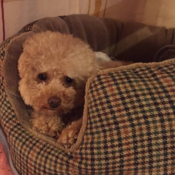 56b7a949 ffb8 48c9 a78a 8823f00439c9