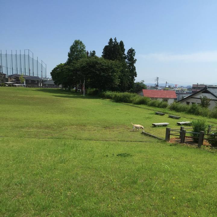 56b8c87f 9527 451f 867c 04b75e472d86