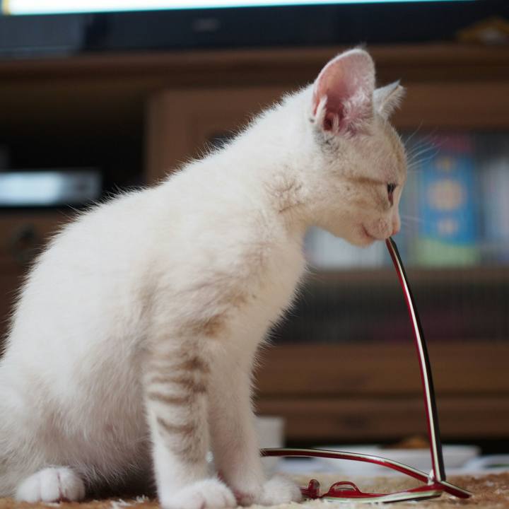 56b90379 0dcb 4b02 9f44 90f043fc14be