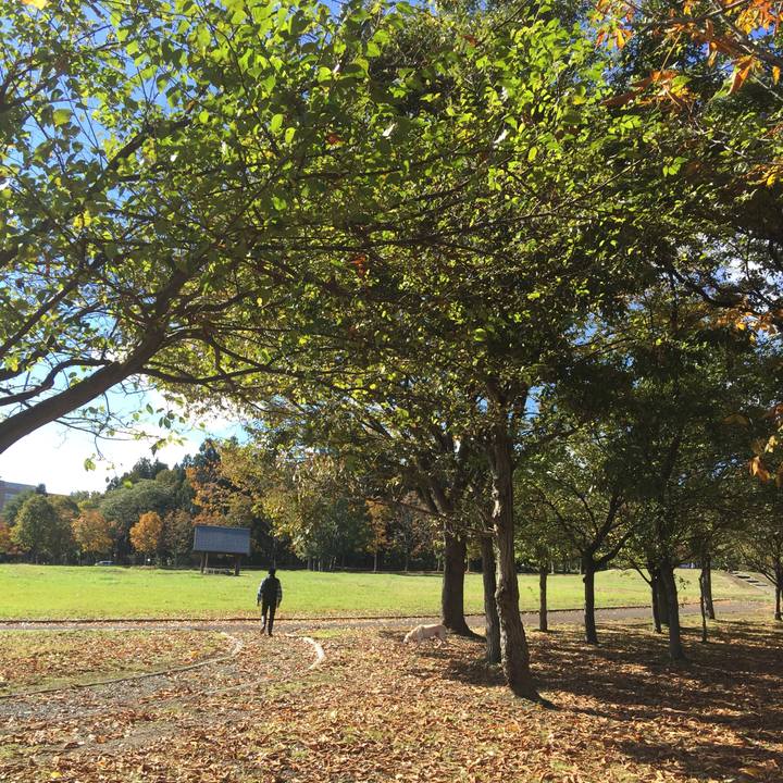 56b91922 004c 499a a34a e51e92c91d99