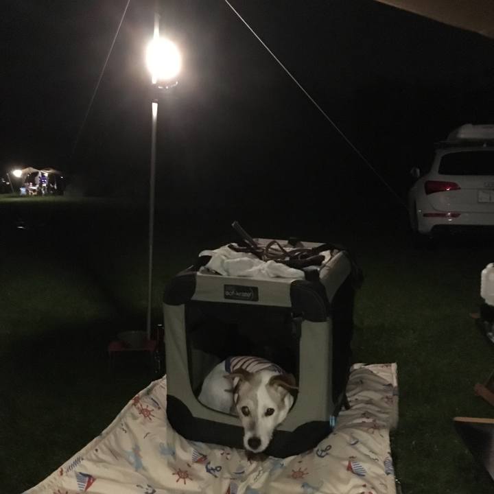 56b99a05 cbb7 4fdc 8bdf 8eeb5101459a