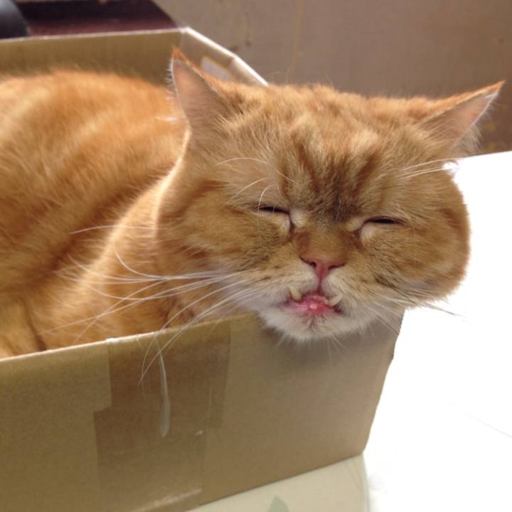 56ba49ef ec31 4b8d 9dbe 296dd3fdb472