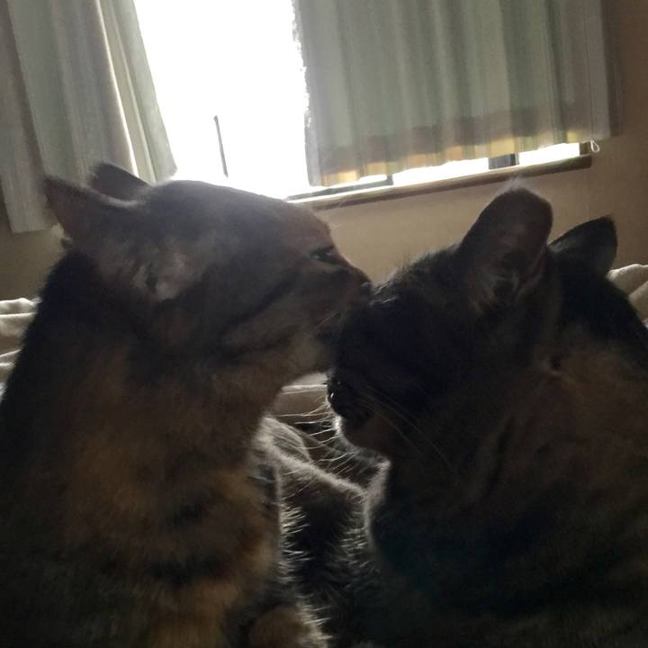 56bb278c 23da 4f1b 8b65 b2ca5a1a057a