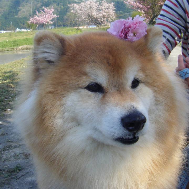 56bbaa34 b259 4934 9cc8 6904341bd933