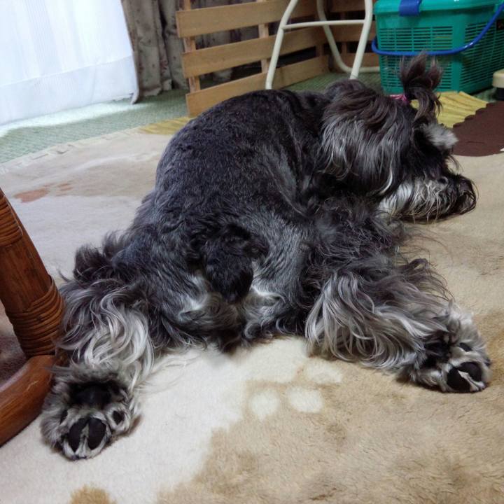 56bc3457 ccc1 4f27 93b9 4f2583000416