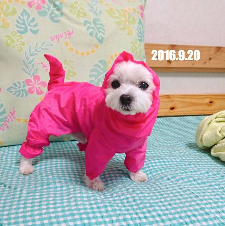 56bc4c97 1d14 4b13 ba15 4d13c367cc71