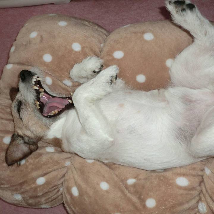 56bca3f5 e206 4ca2 a674 84f68e5fa24e