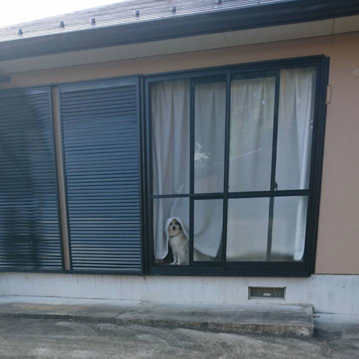 56bcbb05 551c 46a5 a80f eacc28e1c592