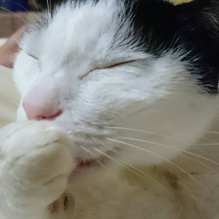 56bd0268 5e0d 40ee b357 fc462335a27b