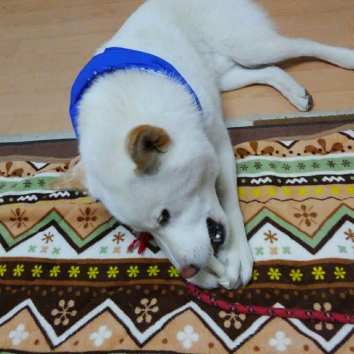 56bd19ab 165a 4dd9 974d 4b313cf58b62