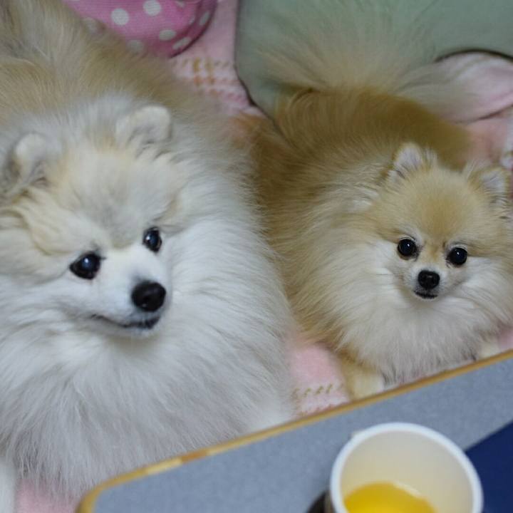 56bd5993 4ee6 4551 bde3 5ac776f07866