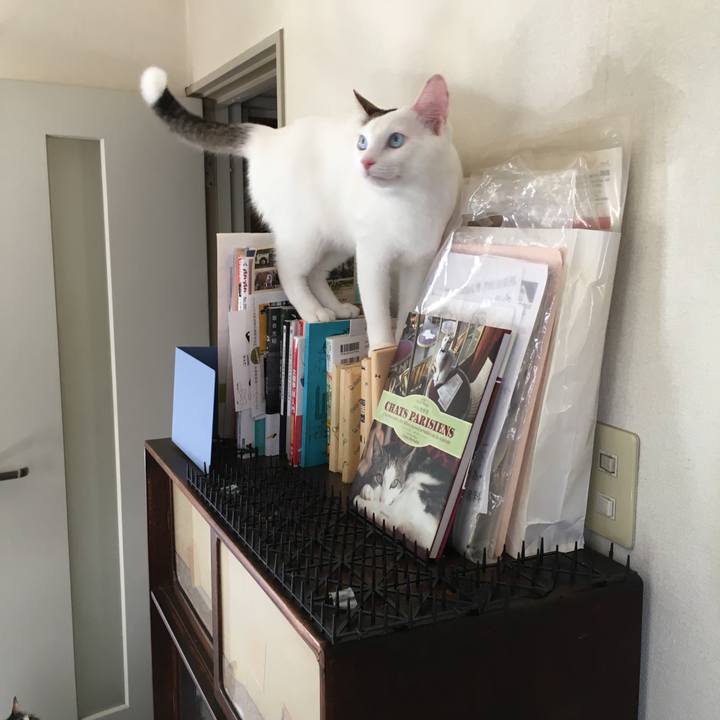 56bdc1b5 430a 4a30 9c9c ab5d08914f1a