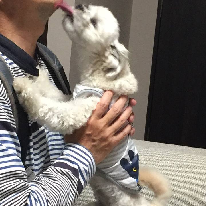 56bdc44b 27dc 45e4 9448 032df6cd8b09