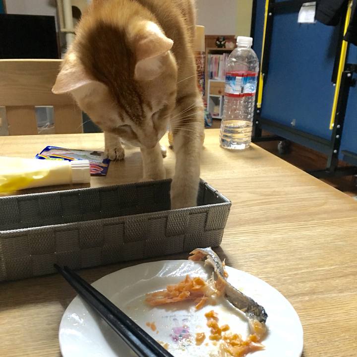 56be4205 b7fa 4a58 a945 726abd8304cc