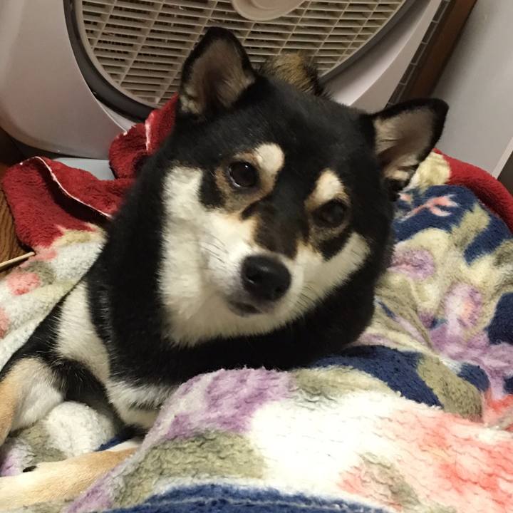 56be6266 ba05 4ed6 85a7 850a79f56a45