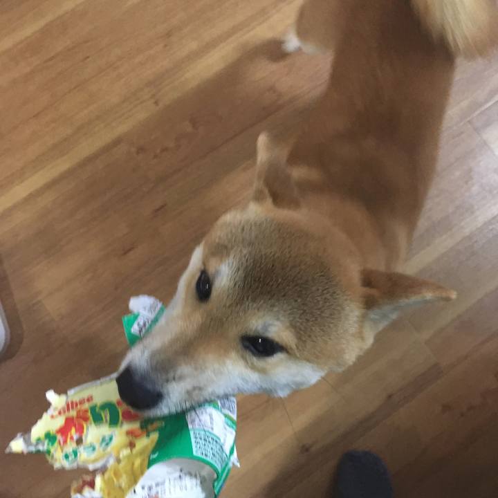 56be90cb a758 4366 9947 eeef9124a176