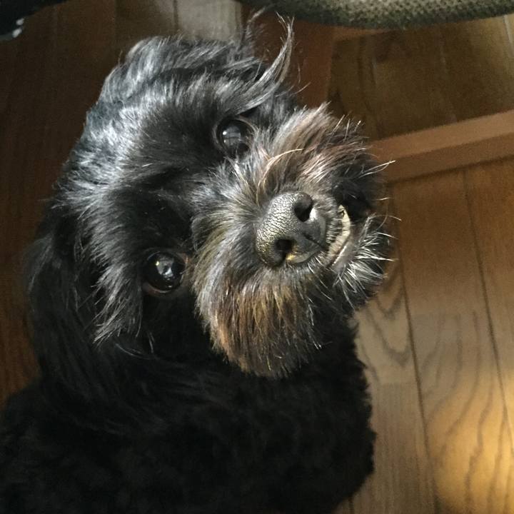 56bed2a8 492d 427c a6ad ecfb390b875e