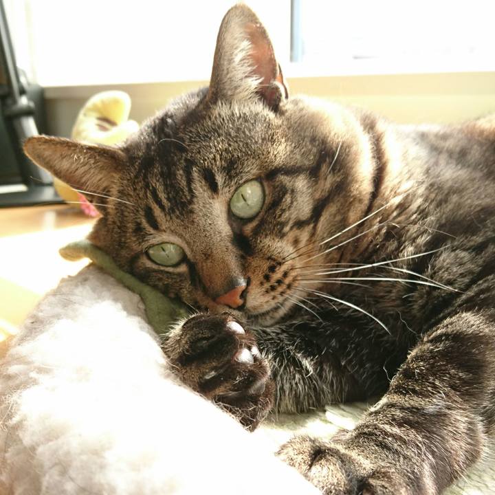 56befcb1 3902 4c8a a221 e8b232c5c26d