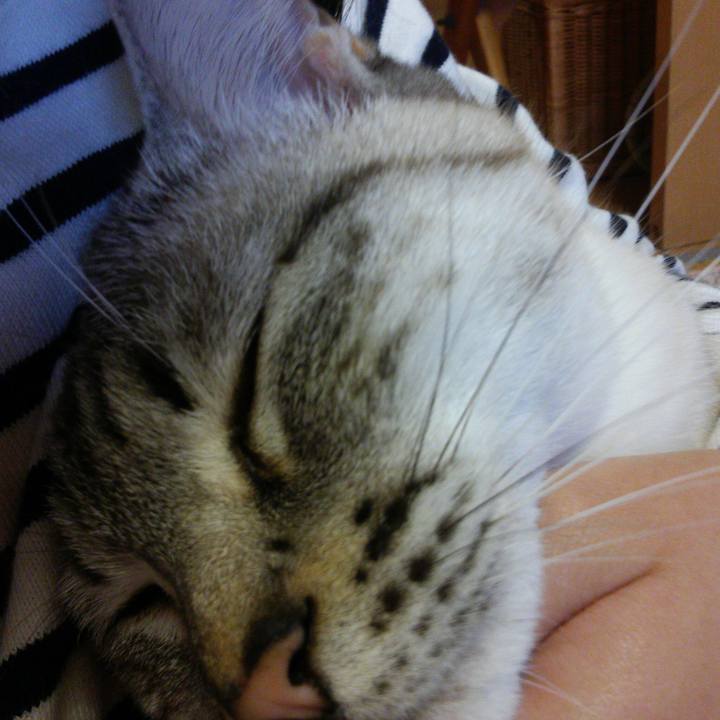 56bf4add 1884 4bc0 b270 25b0dedee127