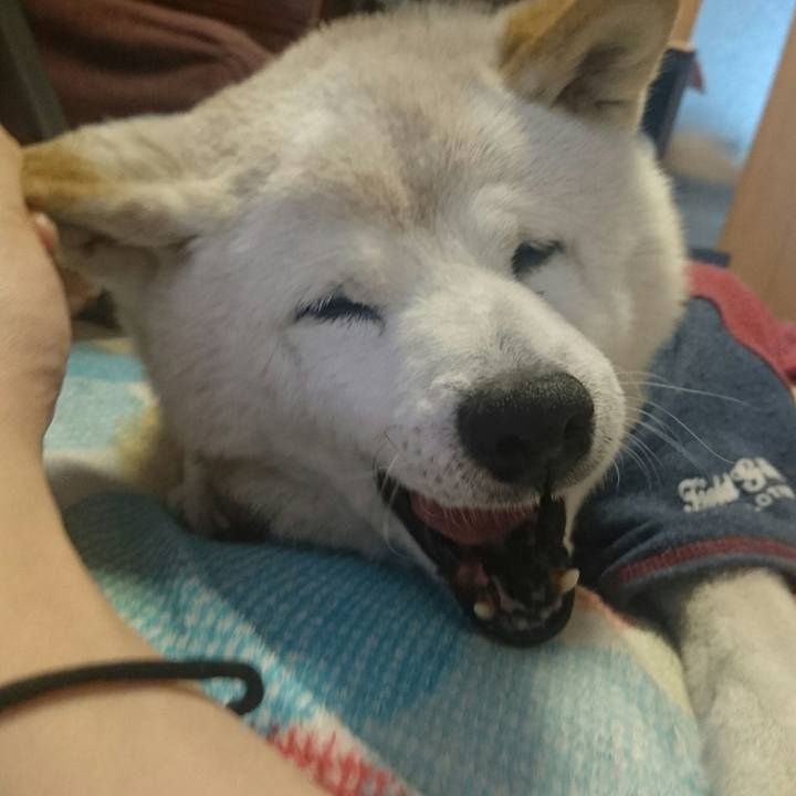 56bf6c9c d4ab 4959 b918 9274c5ad21a1