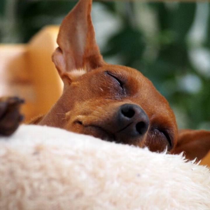 56c01b9c 6f80 4f56 81ca 0b5703bae734