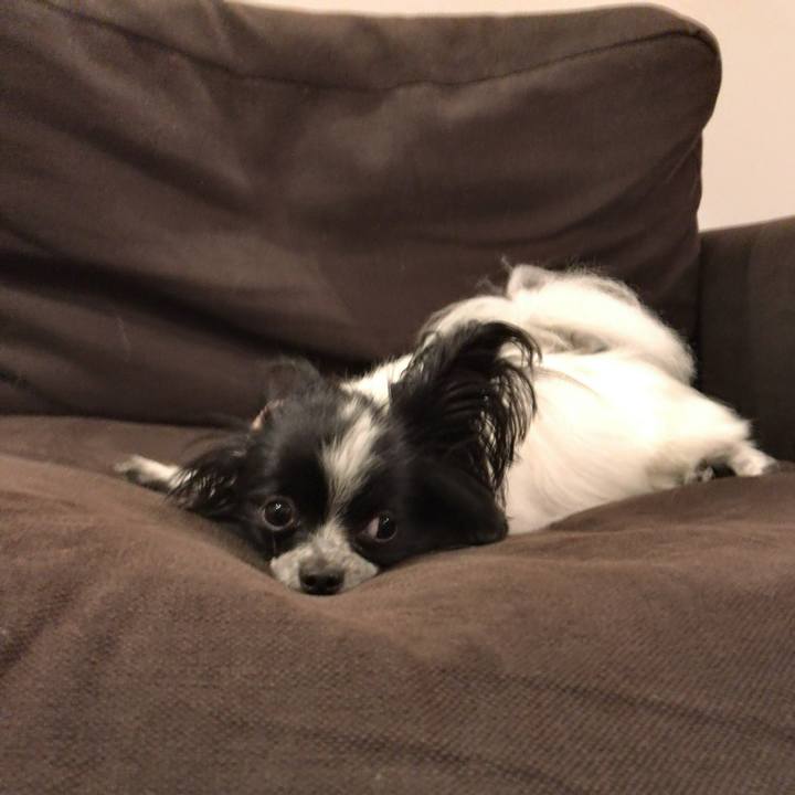 56c0677d a7d4 4d92 98e7 bd85cd74c921